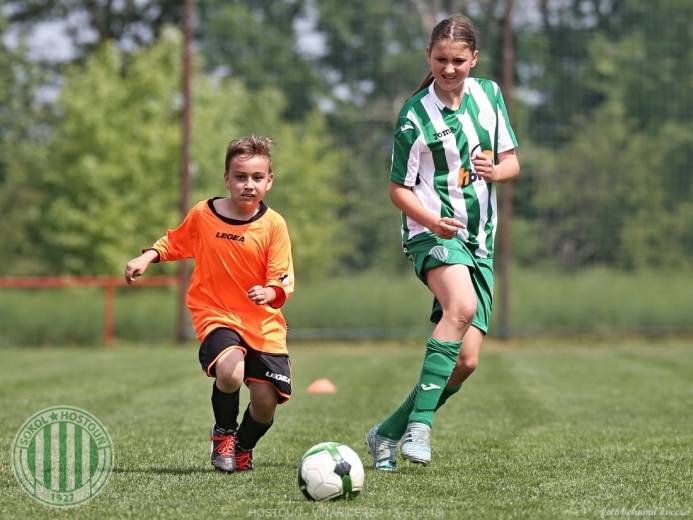 Hostouň - Vinařice 7:1 SP