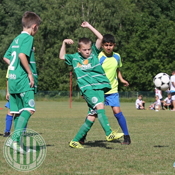 TEPO 2018 - U11 Hostouň