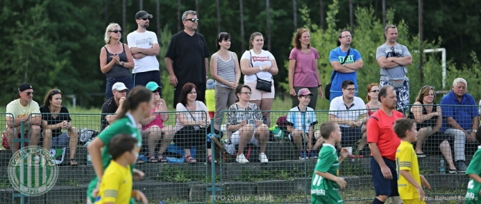 TEPO 2018 - U11 Hostouň