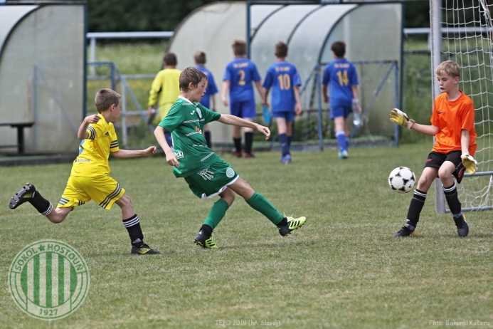 TEPO 2018 - U11 Hostouň