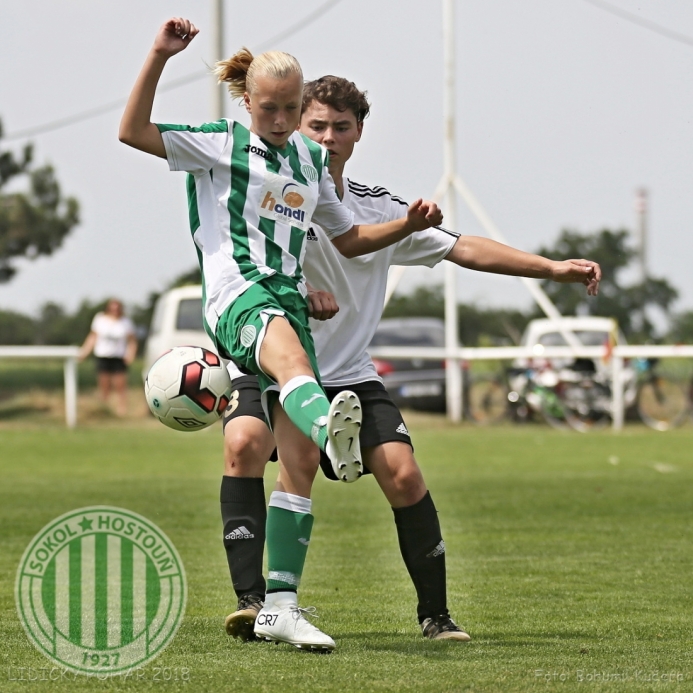 Lidický pohár 2018 (U15)