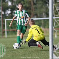 Hostouň - Zličín 20180620 MŽ