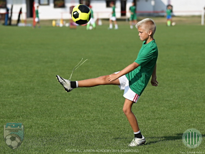 FJA 2018 Dobrovíz