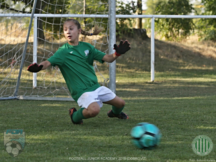 FJA 2018 Dobrovíz